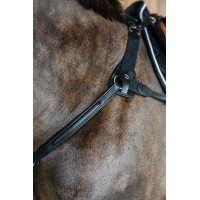 Borsttuig met 5 punten met elastieken New English Collection Dy'on Zwart Borsttuig met 5 punten met elastieken New English Collection Dy'on Zwart