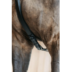 Borsttuig met 5 punten met elastieken New English Collection Dy'on Zwart