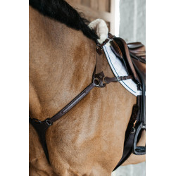 Borsttuig met 5 punten met elastieken New English Collection Dy'on Bruin