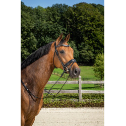 Gemiddelde Gecombineerde Neusriem met Pull-Back Dressuur Rond Leder Dy'on