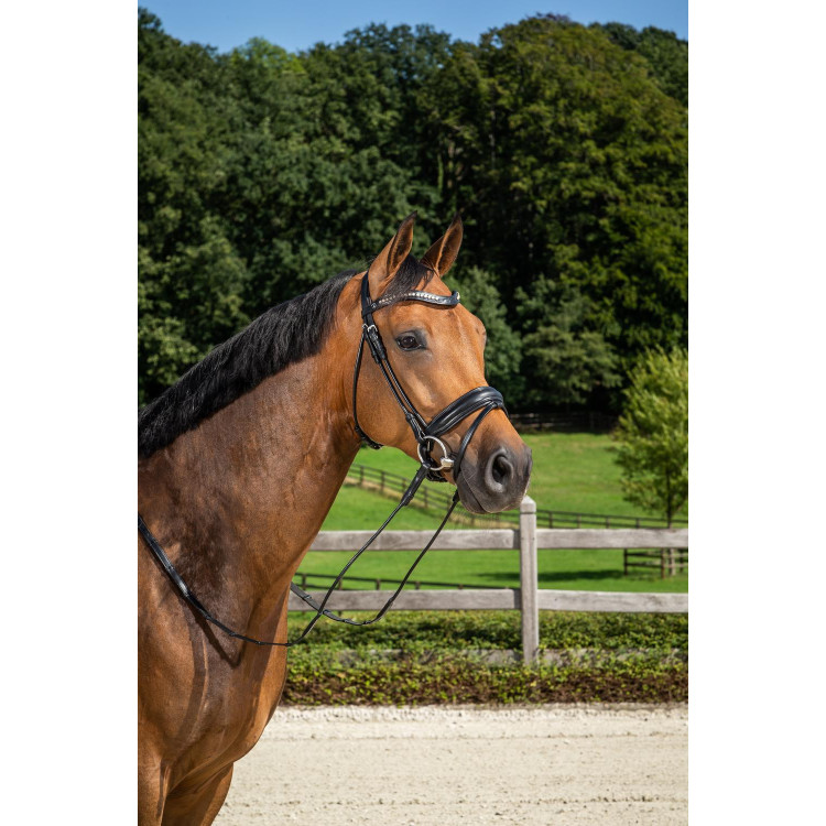 Gemiddelde Gecombineerde Neusriem met Pull-Back Dressuur Rond Leder Dy'on
