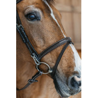 Combinatie Neusriem met Bakstukken en Musketons Working by Dy'on Zwart