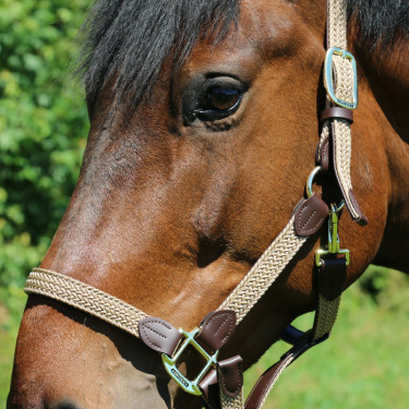 Gevlochten Nylon Halster Kentucky Gevlochten Nylon Halster Kentucky
