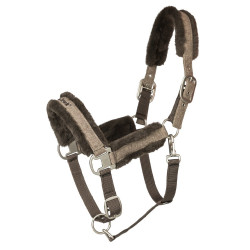 Halster Back on Track Haze Collection Halster Back on Track Haze Collection