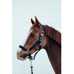 Halster Hardwick B Vertigo Donker marineblauw Halster Hardwick B Vertigo Donker marineblauw