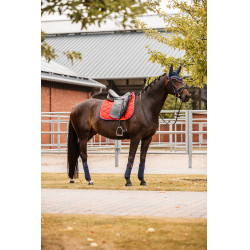 Dressuurzadeldek B Vertigo Amory met geborduurd monogram Dressuurzadeldek B Vertigo Amory met geborduurd monogram