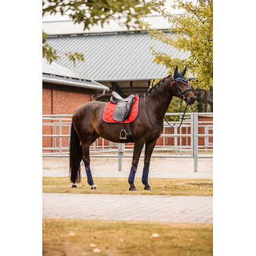 Dressuurzadeldek B Vertigo Amory met geborduurd monogram Dressuurzadeldek B Vertigo Amory met geborduurd monogram