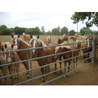 Barrière d'herbage extensible La Gée Barrière d'herbage extensible La Gée
