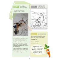 Mon Cahier d'Activités - Niveau CE1 LAVAUZELLE Mon Cahier d'Activités - Niveau CE1 LAVAUZELLE