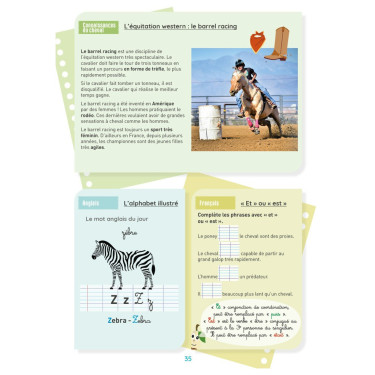 Mijn Werkboek Activiteiten Niveau CE2 Lavauzelle Mijn Werkboek Activiteiten Niveau CE2 Lavauzelle