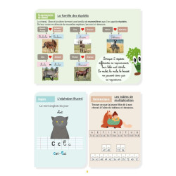 Mon Cahier d'Activités - Niveau CM2 LAVAUZELLE