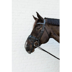 Kentucky neusriem Zwart