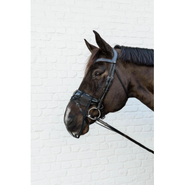 Kentucky neusriem Zwart