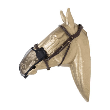 Kentucky neusriem Zwart