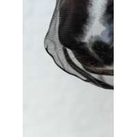 Kentucky neusriem Zwart