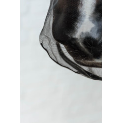 Kentucky neusriem Zwart