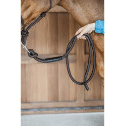 Longe Dy'on met musketon Bruin Longe Dy'on met musketon Bruin