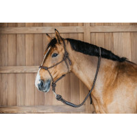 Longe Dy'on met musketon Bruin Longe Dy'on met musketon Bruin