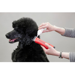 Huile pour tondeuse Aesculap