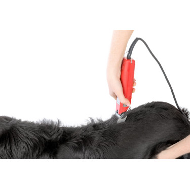 Favorita Speed tondeuse Aesculap Rood