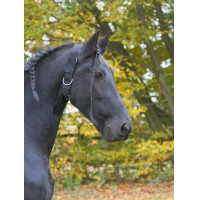 Aanbindhalster Kerbl Zwart Aanbindhalster Kerbl Zwart