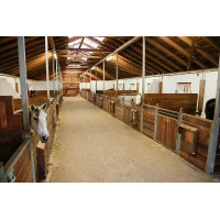 IPCam 360 FHD Compacte Camera Kerbl Zwart IPCam 360 FHD Compacte Camera Kerbl Zwart