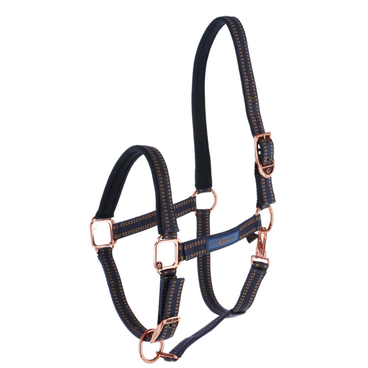Halster paard Royal Covalliero