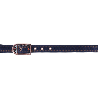Halster paard Royal Covalliero Halster paard Royal Covalliero