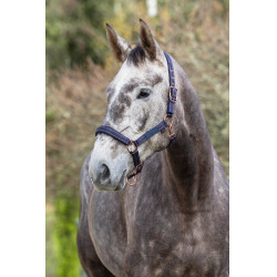Halster paard Royal Covalliero Halster paard Royal Covalliero