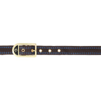 Halster paard Royal Covalliero Blauw / karamel