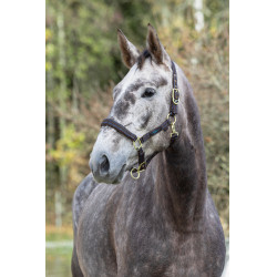 Halster paard Royal Covalliero Bruin / lichtblauw
