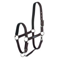 Halster paard Royal Covalliero Zwart / fuchsia