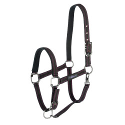 Halster paard Royal Covalliero Zwart / fuchsia