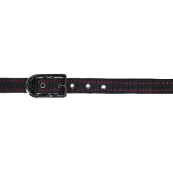 Halster paard Royal Covalliero Zwart / fuchsia