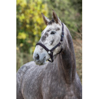Halster paard Royal Covalliero Zwart / fuchsia