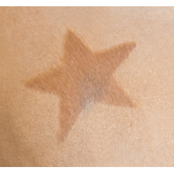 Pochoir de tonte Kerbl