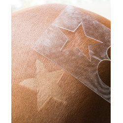 Pochoir de tonte Kerbl