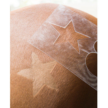 Pochoir de tonte Kerbl