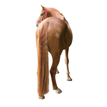 Pochoir de tonte Kerbl