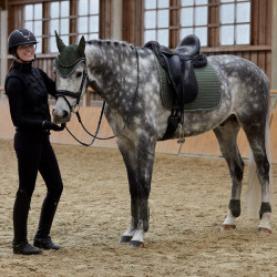 Zadeldek veelzijdig Adepto Horze Bleu canal Zadeldek veelzijdig Adepto Horze Bleu canal