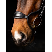 Bridon LeMieux Arika anatomische verstelbare neusriem Zwart / zilver Bridon LeMieux Arika anatomische verstelbare neusriem Zwart / zilver