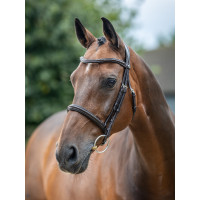 Bridon LeMieux Arika Neusriem Zwart / zilver Bridon LeMieux Arika Neusriem Zwart / zilver