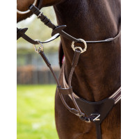 Martingale LeMieux élastique avec protection de poitrail Bruin / zilver