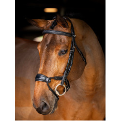 Bridon LeMieux Kudos anatomisch verstelbare neusriem Zwart / zilver