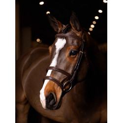 Dubbele neusriem hoofdstel LeMieux Kudos Havana / messing Bruin Dubbele neusriem hoofdstel LeMieux Kudos Havana / messing Bruin