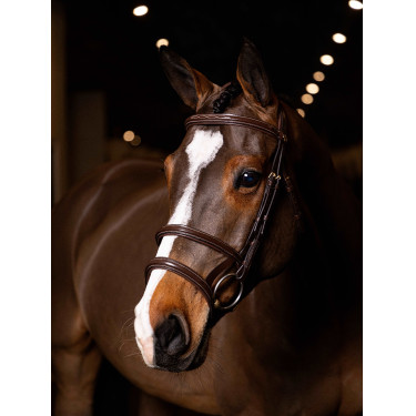 Dubbele neusriem hoofdstel LeMieux Kudos Havana / messing Bruin Dubbele neusriem hoofdstel LeMieux Kudos Havana / messing Bruin