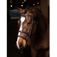 Dubbele neusriem hoofdstel LeMieux Kudos Havana / messing Bruin Dubbele neusriem hoofdstel LeMieux Kudos Havana / messing Bruin