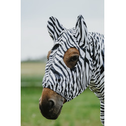 Antiekzeemkap Riding World