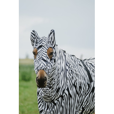 Antiekzeemkap Riding World Antiekzeemkap Riding World
