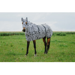 Antiekzeemkap Riding World Antiekzeemkap Riding World